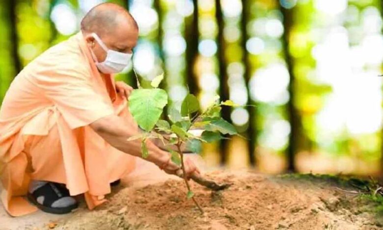 योगी सरकार-2026 में पूरे प्रदेश में लगाएगी 35 करोड़ पौधे