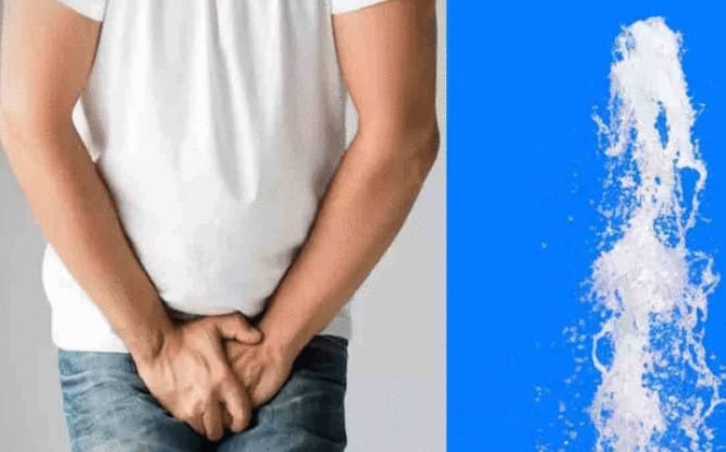 क्या आप भी वीर्य को बाहर आने से रोकते हैं, तो जरूर पढ़ें डॉक्टर की ये राय “ • ˌ क्या आप भी वीर्य को बाहर आने से रोकते हैं, तो जरूर पढ़ें डॉक्टर की ये राय “ • ˌ