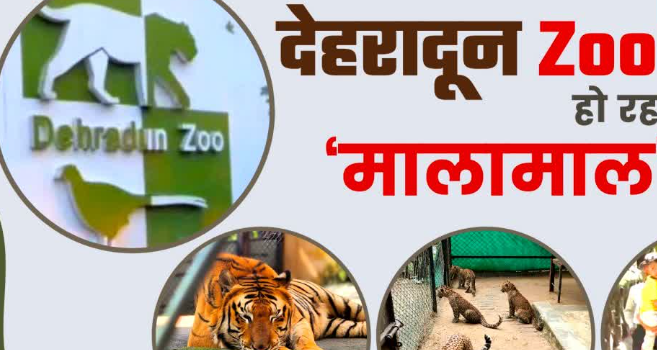 पक्षियों की चहचहाहट और टाइगर की दहाड़ के बीच मालामाल हो रहा देहरादून जू, टूटे पुराने सभी रिकॉर्ड