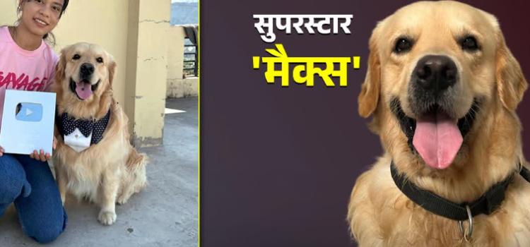 लखपति है श्रीनगर का ये गोल्डन रिट्रीवर डॉग, सोशल मीडिया से हर महीने कमाता है इतने पैसे