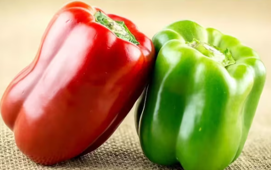 हरी और लाल शिमला मिर्च में क्या है अंतर? कौन सी है ज्यादा फायदेमंद! हरी और लाल शिमला मिर्च में क्या है अंतर? कौन सी है ज्यादा फायदेमंद!