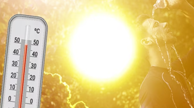 बेतिया में आंधी-तूफान से किसानों की फसलें बर्बाद, देखें आज क्या कहती है IMD रिपोर्ट? बेतिया में आंधी-तूफान से किसानों की फसलें बर्बाद, देखें आज क्या कहती है IMD रिपोर्ट?