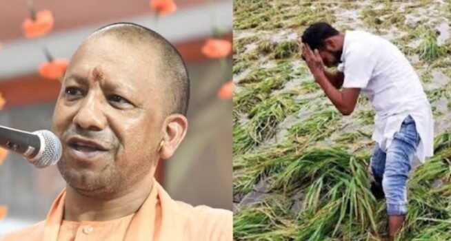 अति वर्षा और बिजली गिरने से जान-माल और पशु हानि पर मिलेगा मुआवजा अति वर्षा और बिजली गिरने से जान-माल और पशु हानि पर मिलेगा मुआवजा