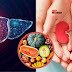लिवर किडनी को साफ करने में असरदार 3 सब्जियां, रोज खाने से क्लीन रहेंगे गुर्दे