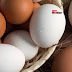 सफेद अंडा या ब्राउन अंडा, कौन है प्रोटीन का पावरहाउस, किसके सेवन से फौलादी बनेगा शरीर