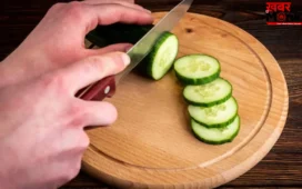 गर्मियों में खीरा खाते समय न करें ये 3 बड़ी गलतियां, फायदे की जगह सेहत को हो सकता है भारी नुकसान!