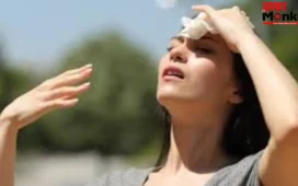 Heat Stroke:लू और डिहाइड्रेशन से बचने के असरदार नुस्खे नोट कीजिए, जानिए किन चीजों से करें पूरी तरह परहेज़