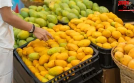 बाजार में मिल रहे आम सेहत के लिए कितने खतरनाक? बस 1 मिनट में ऐसे करें असली और जहरीले आम की पहचान