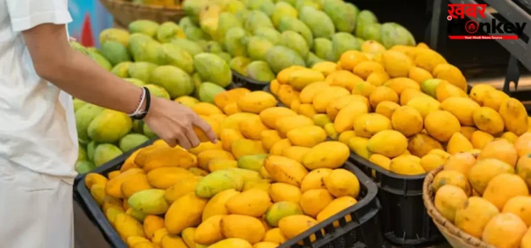 बाजार में मिल रहे आम सेहत के लिए कितने खतरनाक? बस 1 मिनट में ऐसे करें असली और जहरीले आम की पहचान बाजार में मिल रहे आम सेहत के लिए कितने खतरनाक? बस 1 मिनट में ऐसे करें असली और जहरीले आम की पहचान