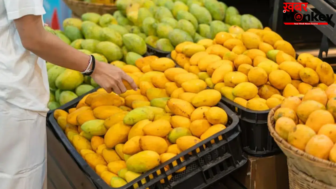 बाजार में मिल रहे आम सेहत के लिए कितने खतरनाक? बस 1 मिनट में ऐसे करें असली और जहरीले आम की पहचान