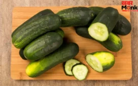 कड़वा खीरा अब नहीं बिगाड़ेगा सलाद का स्वाद! बाजार जाने से पहले जान लें ये सीक्रेट तरीका