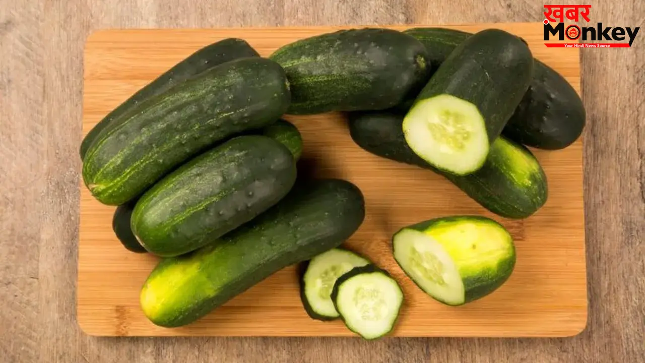 कड़वा खीरा अब नहीं बिगाड़ेगा सलाद का स्वाद! बाजार जाने से पहले जान लें ये सीक्रेट तरीका