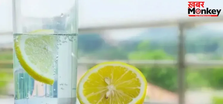 Lemon Water: हर किसी के लिए फायदेमंद नहीं नींबू पानी, इन लोगों को रहना चाहिए दूर