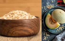 कूड़े में फेंकने वाली ये मामूली चीज है पोषक तत्वों का खजाना, बस इस तरह करें इस्तेमाल; बीमारियों से रहेंगे दूर