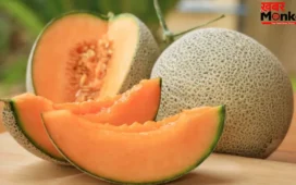Muskmelon Side Effects: खरबूज खाने से कब है नुकसान का खतरा? ज़रूर जानिए