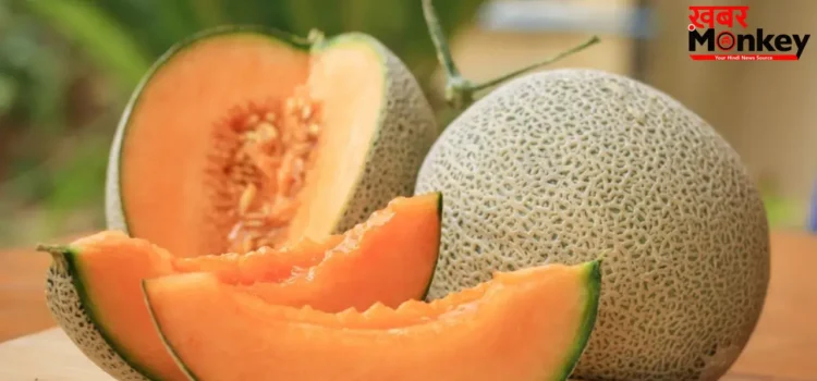 Muskmelon Side Effects: खरबूज खाने से कब है नुकसान का खतरा? ज़रूर जानिए