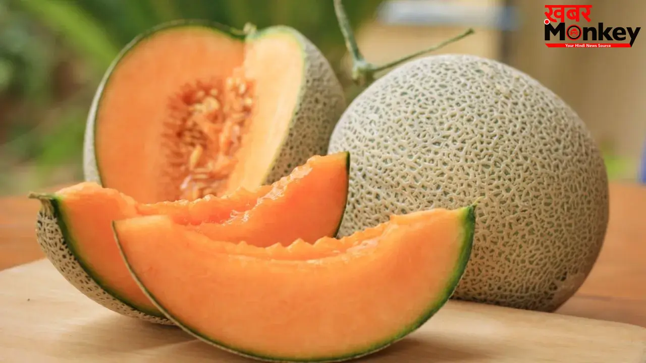 Muskmelon Side Effects: खरबूज खाने से कब है नुकसान का खतरा? ज़रूर जानिए