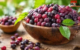 Phalsa Benefits: गर्मियों का असली दुश्मन है ये छोटा सा फल, फायदे जानकर आज ही शुरू कर देंगे खाना