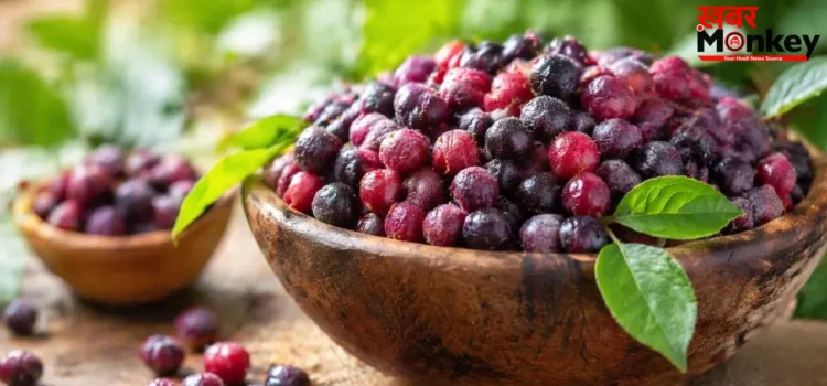 Phalsa Benefits: गर्मियों का असली दुश्मन है ये छोटा सा फल, फायदे जानकर आज ही शुरू कर देंगे खाना