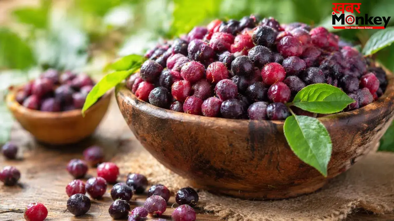 Phalsa Benefits: गर्मियों का असली दुश्मन है ये छोटा सा फल, फायदे जानकर आज ही शुरू कर देंगे खाना
