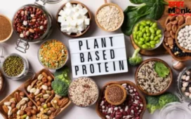 High Protein Foods : इन 3 चीजों को डाइट में करें शामिल, बिना नॉनवेज के पूरी होगी प्रोटीन की जरूरत
