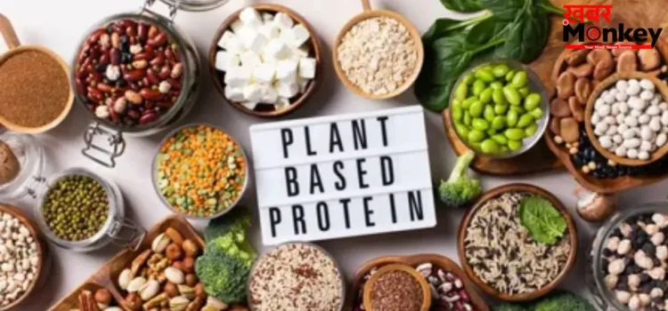 High Protein Foods :  इन 3 चीजों को डाइट में करें शामिल, बिना नॉनवेज के पूरी होगी प्रोटीन की जरूरत
