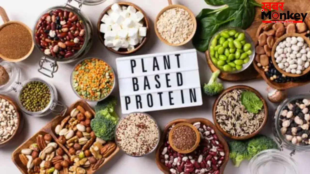 High Protein Foods : इन 3 चीजों को डाइट में करें शामिल, बिना नॉनवेज के पूरी होगी प्रोटीन की जरूरत