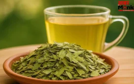 Sahjan Leaves Health: सहजन के पत्ते का पानी के हैं गजब फायदे! जानकर हो जाएंगे हैरान! आज़मा कर भी देख लीजिए