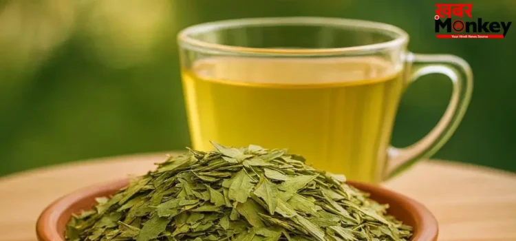 Sahjan Leaves Health: सहजन के पत्ते का पानी के हैं गजब फायदे! जानकर हो जाएंगे हैरान! आज़मा कर भी देख लीजिए