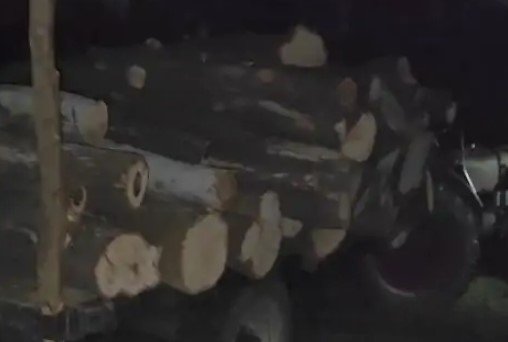 मुजफ्फरनगर में आम के पेड़ों का अवैध कटान: पुलिस ने छापेमारी कर आरोपियों को पकड़ा मुजफ्फरनगर में आम के पेड़ों का अवैध कटान: पुलिस ने छापेमारी कर आरोपियों को पकड़ा