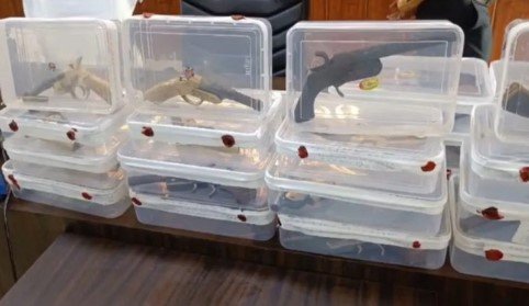 ईख के खेत में चल रही थी अवैध फैक्टरी, पंचायत चुनाव के लिए बन रहे थे तमंचे ईख के खेत में चल रही थी अवैध फैक्टरी, पंचायत चुनाव के लिए बन रहे थे तमंचे