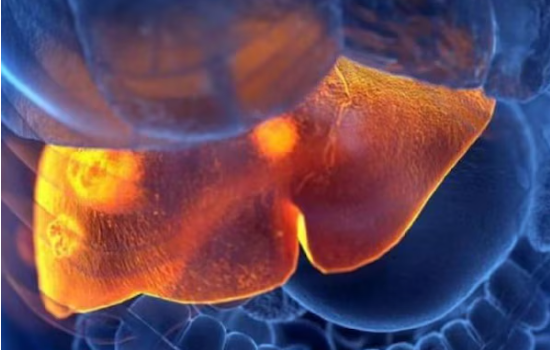 बीमार होने के बाद भी सालों तक नहीं दिखते हेपेटाइटिस बी और सी के लक्षण, एक्सपर्ट ने बताया कैसे धीरे-धीरे सड़ने लगता है लिवर