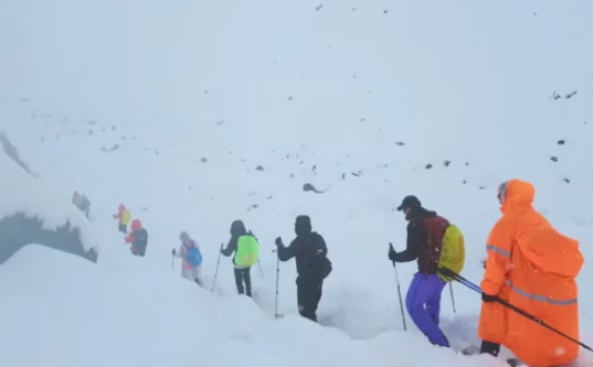 बेकिंग सोडा मिलाकर ट्रैकर्स को करते थे बीमार, फर्जी बिल बनाकर किया अरबों रुपये का इंश्योरेंस फ्रॉड, ऐसे हुआ भंडाफोड़