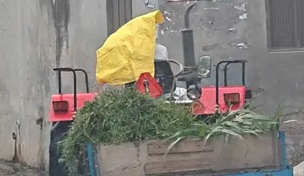 मुजफ्फरनगर में बारिश, अचानक बढ़ी ठंडक: गेहूं की फसल को नुकसान की आशंका