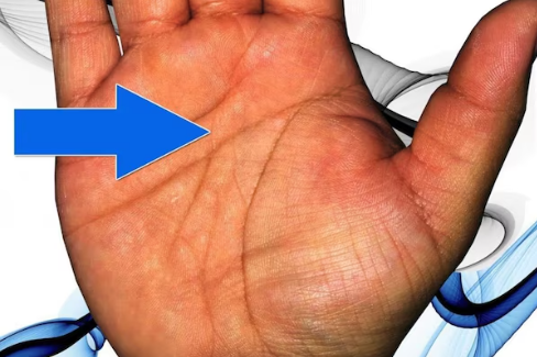 करियर में डबल तरक्की या संघर्ष? हथेली की दो भाग्य रेखाएं क्या देती हैं संकेत, जानिए करियर में डबल तरक्की या संघर्ष? हथेली की दो भाग्य रेखाएं क्या देती हैं संकेत, जानिए