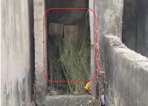 बिहार में शराब तस्करों ने सरकारी स्कूल को भी नहीं छोड़ा, शौचालय में छिपाई दारू को पी गए बच्चे! बिहार में शराब तस्करों ने सरकारी स्कूल को भी नहीं छोड़ा, शौचालय में छिपाई दारू को पी गए बच्चे!