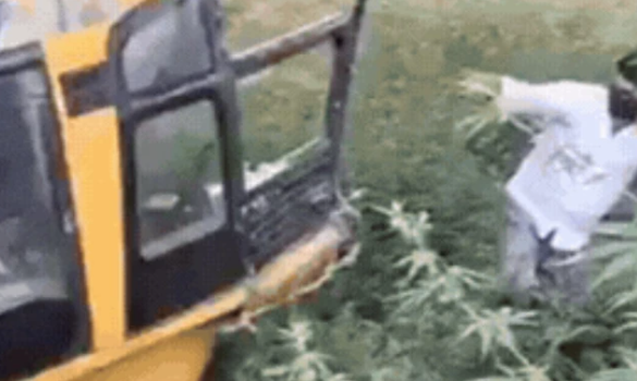 अभी- अभी: मेरठ में बड़ा हादसा, 50 से अधिक बच्चों से भरी स्कूल बस खाई में पलटी, मची चीख-पुकार