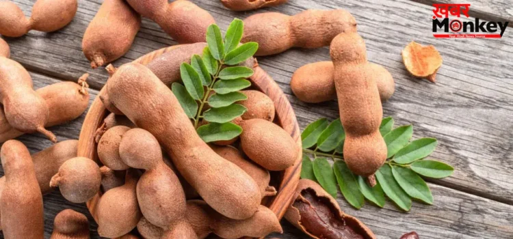 Tamarind Benefits: इमली के फ़ायदे कर देंगे हैरान, नोट कर लीजिए