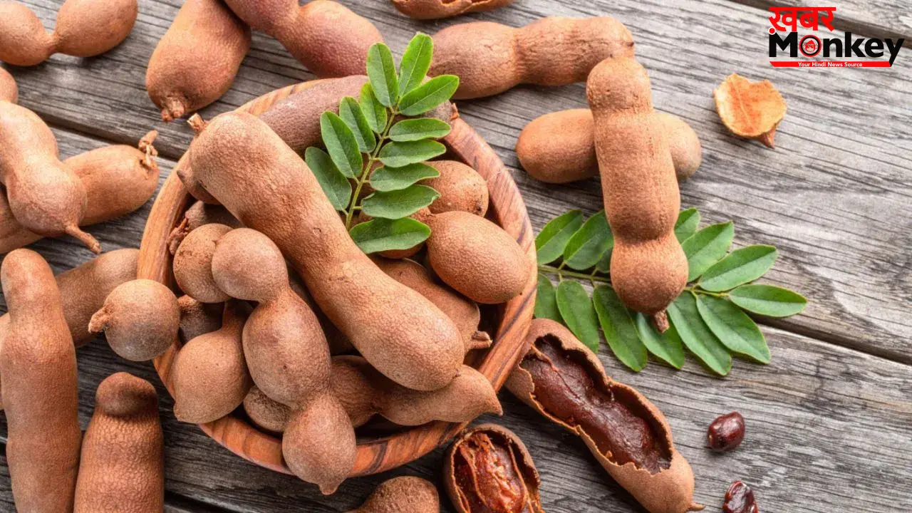 Tamarind Benefits: इमली के फ़ायदे कर देंगे हैरान, नोट कर लीजिए