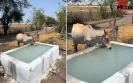 भीषण गर्मी में युवाओं ने किया ‘जल दान’, वायरल वीडियो ने जीता लोगों का दिल