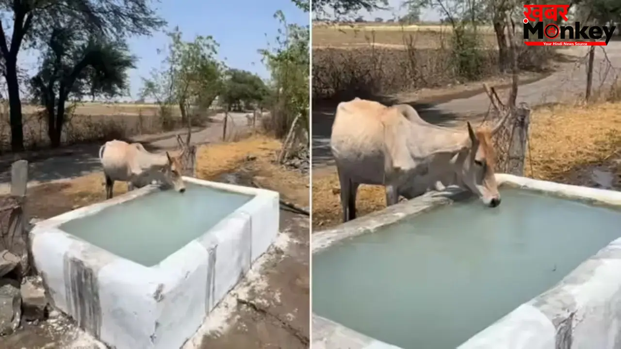 भीषण गर्मी में युवाओं ने किया ‘जल दान’, वायरल वीडियो ने जीता लोगों का दिल