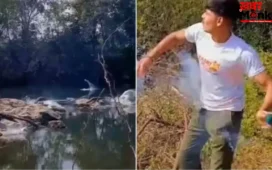 रील के लिए मगरमच्छों के बीच फोड़ा बम, कोटा के युवक पर FIR; वीडियो ने मचाया हड़कंप
