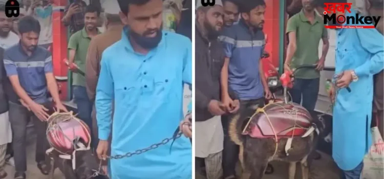 कुत्ते की पीठ पर टंकी बांधकर भरवाया पेट्रोल, वायरल वीडियो ने बढ़ाई चिंता