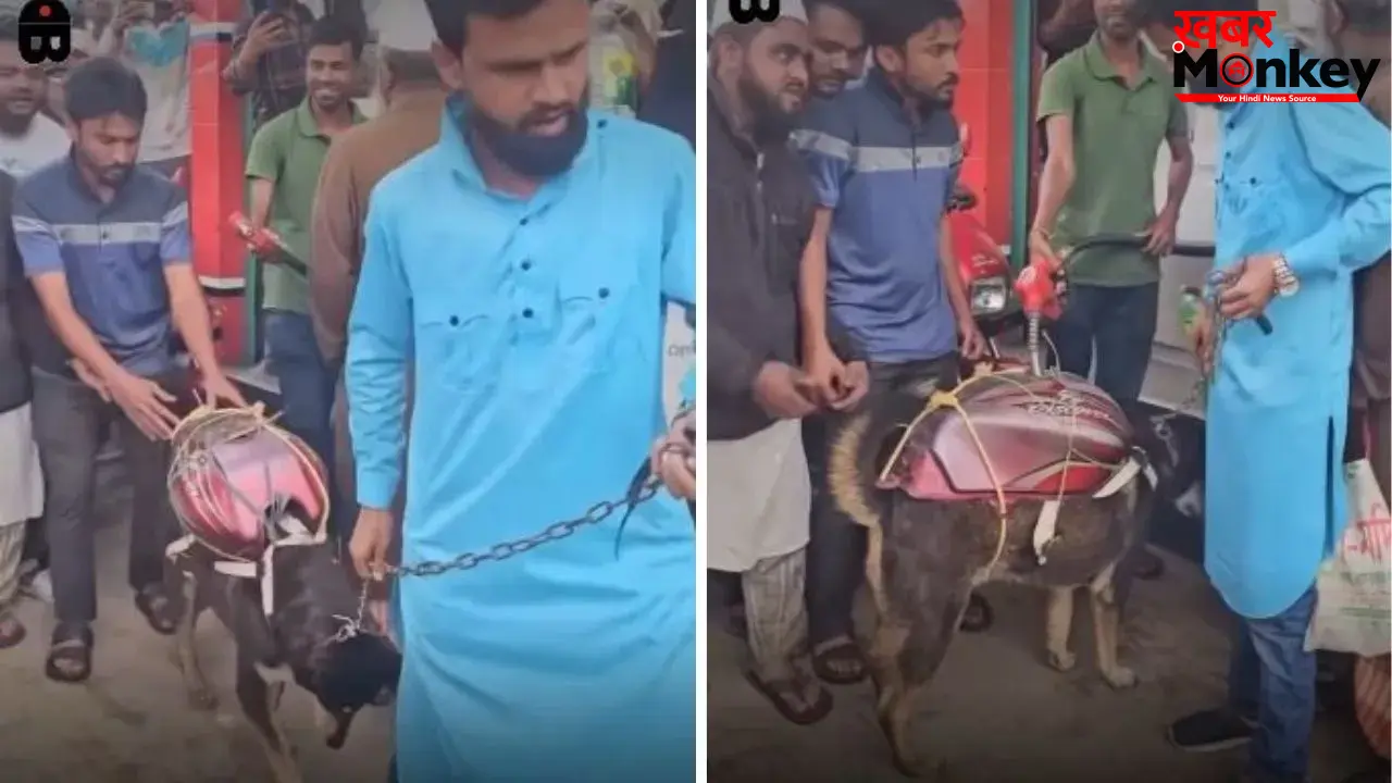 कुत्ते की पीठ पर टंकी बांधकर भरवाया पेट्रोल, वायरल वीडियो ने बढ़ाई चिंता