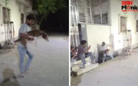 डॉगी को घुमाते-घुमाते खुद नाली में गिरा शख्स, मजेदार वीडियो हुआ वायरल