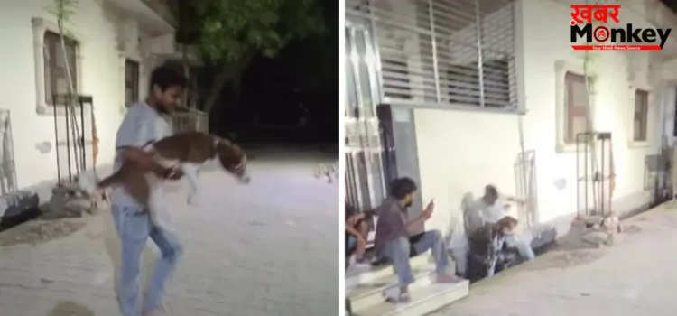 डॉगी को घुमाते-घुमाते खुद नाली में गिरा शख्स, मजेदार वीडियो हुआ वायरल