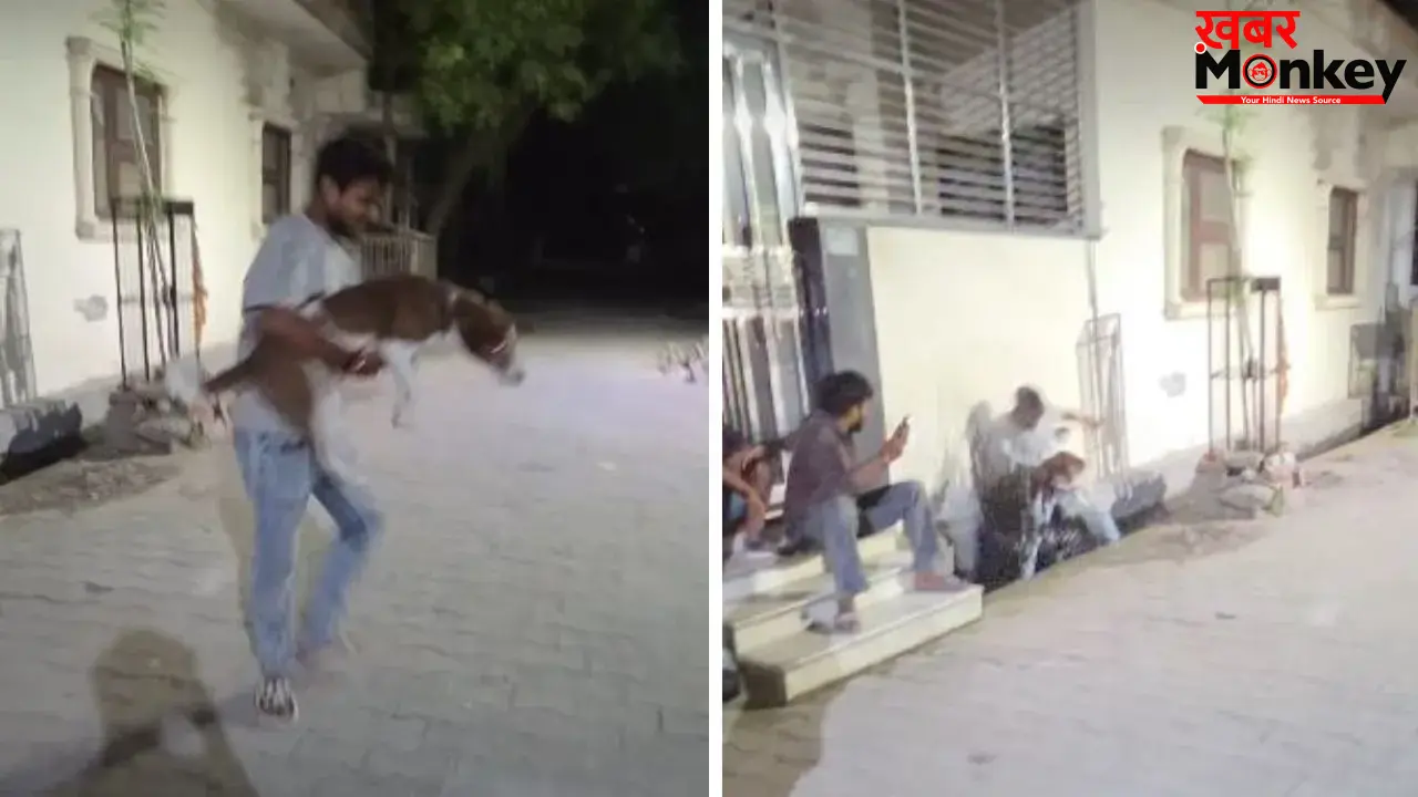 डॉगी को घुमाते-घुमाते खुद नाली में गिरा शख्स, मजेदार वीडियो हुआ वायरल