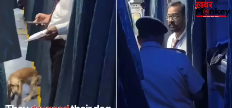 ट्रेन में कुत्ते को स्लीपिंग पिल्स देकर ले जाना पड़ा भारी, 2AC में सफर कर रहे पैसेंजर पर एक्शन