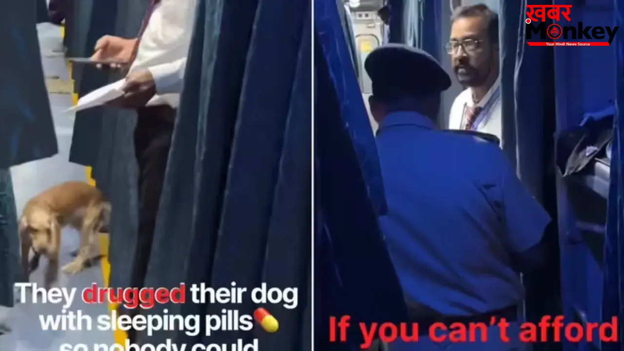 ट्रेन में कुत्ते को स्लीपिंग पिल्स देकर ले जाना पड़ा भारी, 2AC में सफर कर रहे पैसेंजर पर एक्शन