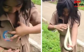 Viral Video: सांप के साथ खेलती दिखी नन्ही बच्ची, लोगों की थम गई सांसें